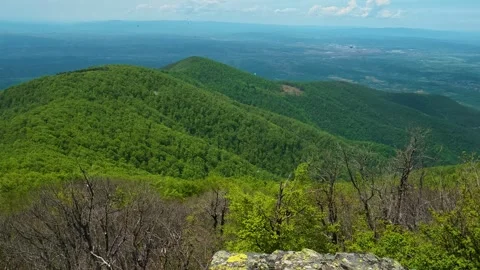 Green hills roll beneath a bright blue sky. Jastrebac Mountain, Serbia. 库存影片 336024495