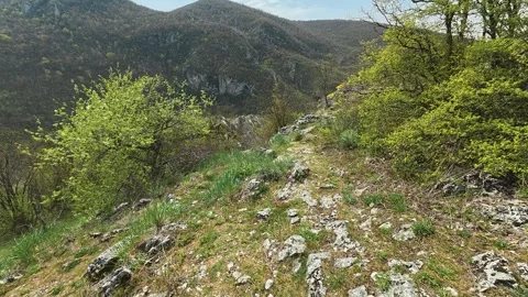 Green hills roll under blue skies. Mount Ozren, Serbia Vidéo 332729541