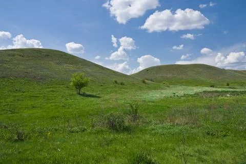 Green hills in spring Stock Photos