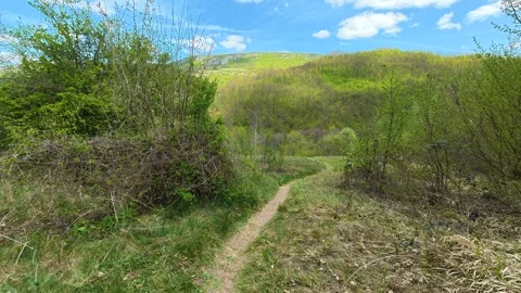 Green hills stretch under a bright blue sky. Balkan, Eastern Europe, POV Video stock 333587809