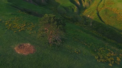 Green hills at sunset Video stock 255176380