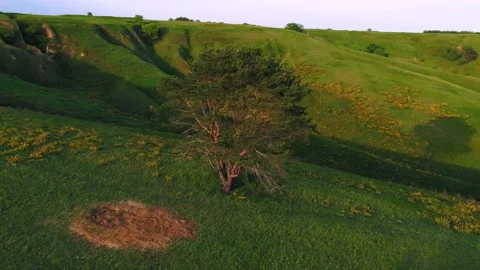 Green hills at sunset Stock Footage 255176556