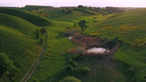 Green hills at sunset Video stock 255178823