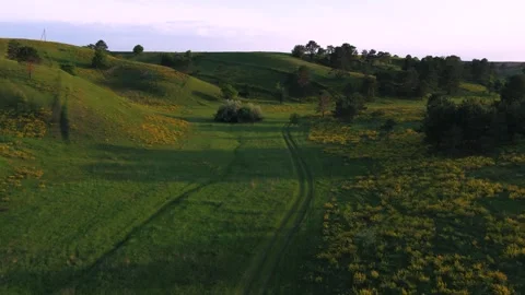 Green hills at sunset Video stock 255182204