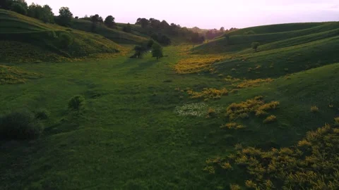 Green hills at sunset Video stock 255182918