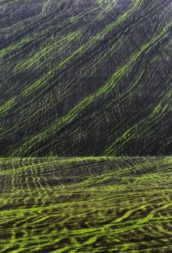 Green hills texture Stock Photos