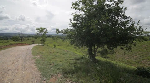 GREEN HILLS WITH TREE Stock Footage 28030248