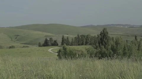 Green hills with trees Stock Footage 43872418