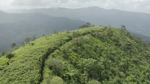 Green hills of tropical Java high land Indoensai Vídeos de archivo 205582062