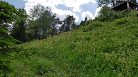 Green hills UHD footage. Stock Footage