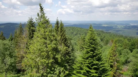 Green hills UHD footage. Stock Footage