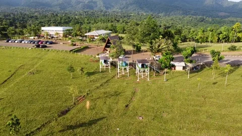 Green Hills View Video stock 198730838