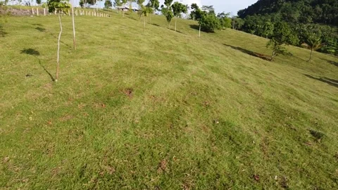 Green Hills View Video stock 198731085