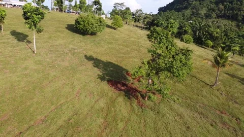 Green Hills View Video stock 198731479