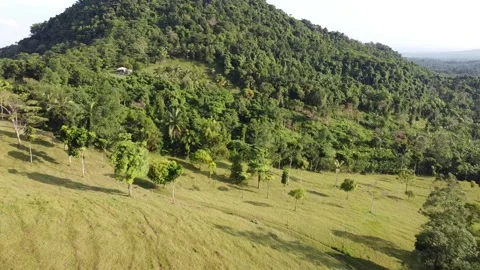 Green Hills View Video stock 198748321