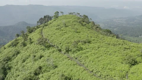 Green hills at West Java Indonesia Stock Footage 205582063