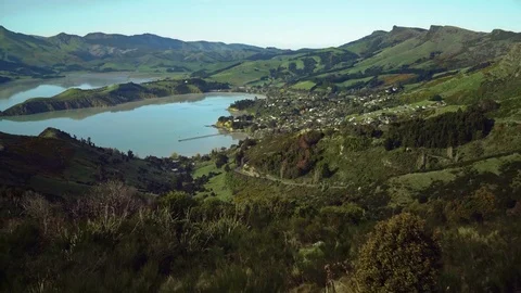 Green Hillside in NZ (Drone) Vídeos de archivo 82509994