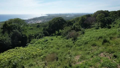 Green hillside overlooking a distant coastal town, aerial view Stock Footage 278370326