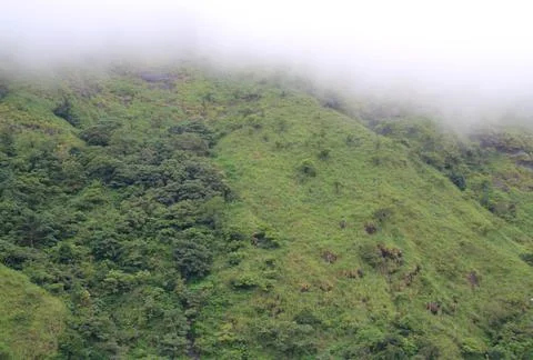 Green hillside Stock Photos
