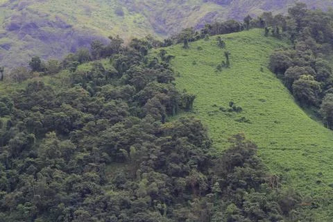 Green hillside Stock Photos
