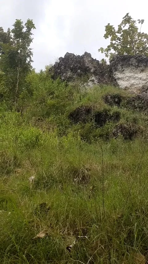 Green Hillside with Rock Formations Stock Footage 329476143