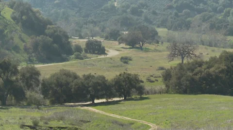 Green Hillside Trail Stock Footage 34573639