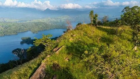 Green hillside with trees overlooking a river and sky Stock Photos