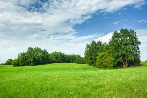 Green hilly meadow and trees, white clouds and blue sky Stock Photos
