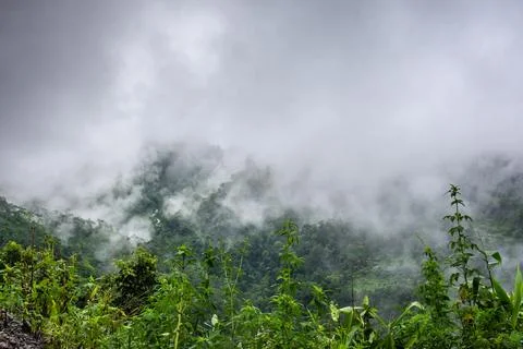 Green Himalayan Mountain dense floating fog Foto stock