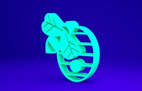 Green Hive for bees icon isolated on blue background. Beehive symbol. Apiary and Illustrazione stock