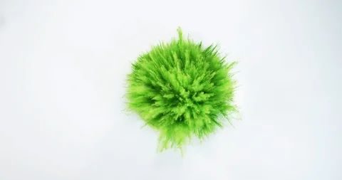 Green Holi Powder Exploding on White Background, Slow Motion 4K 動画素材 112359632