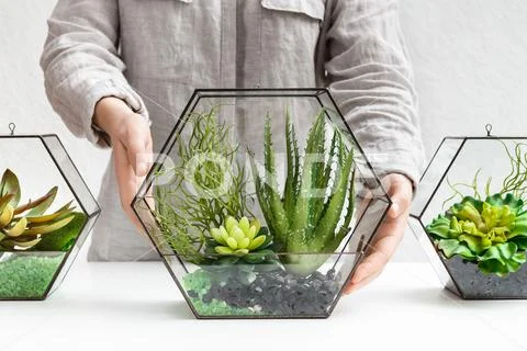 Green home design. Professional florist's service concept. Stock Photos
