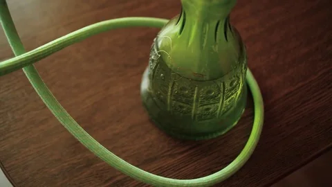 Green hookah Stock Footage 71328409