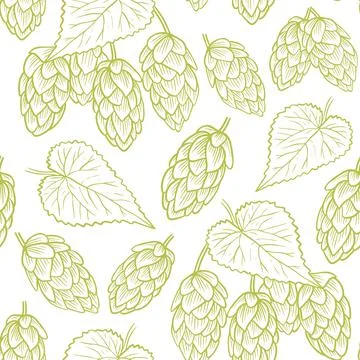 Green hops on white background seamless pattern, hand drawing. Stock Illustration