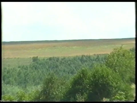 Green Horizon Stock Footage 342687926