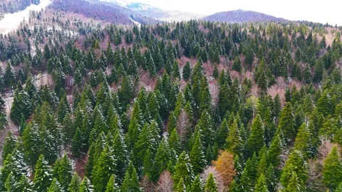 Green Horizons from Above Stock Footage 312532213