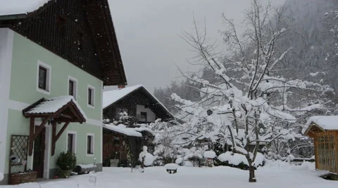 Green house and a tree on a winter day in Hallstatt Stock Footage 61502203