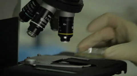 Green House Closeup Testing &amp; Quality4.mp4 Stock Footage 39511557