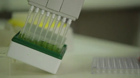 Green House Closeup Testing &amp; Quality5.mp4 Stock Footage 39511593
