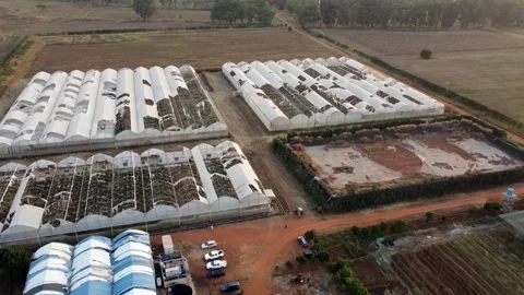 Green House Farm Stock Footage 166802091