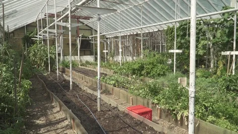 GREEN HOUSE Video stock 102742958