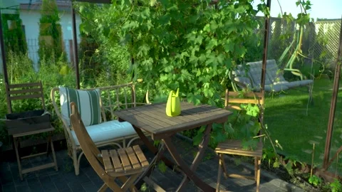 Green house interior Stock Footage 133092517