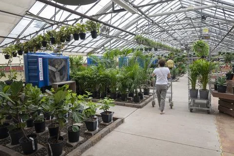Green house store Stock Photos