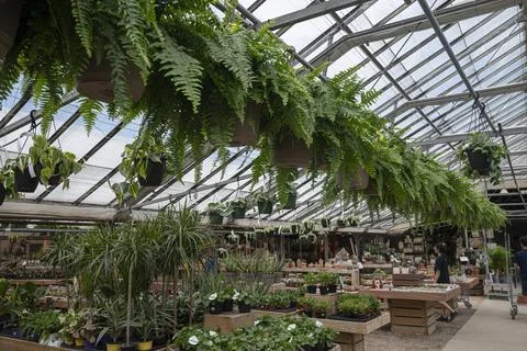 Green house store Stock Photos