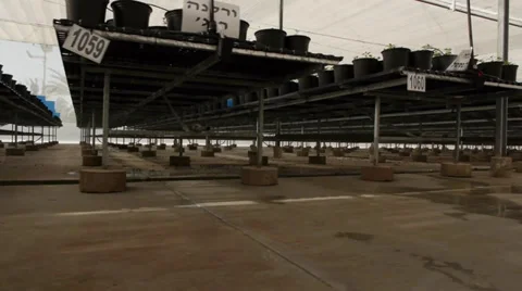 Green House Walkthrough.mp4 Stock Footage 39511205
