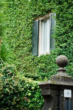 Green House Window Stock Photos