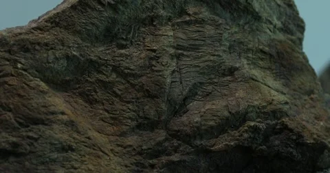 Green Hue Textured Rock Surface. Stock Footage 274643733