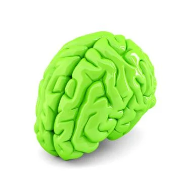 Green human brain close up. Isolate. Contains clipping path Stock Illustration
