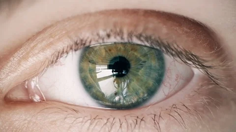 Green human eye of young boy looking at camera, close up. 스톡 동영상 78798395
