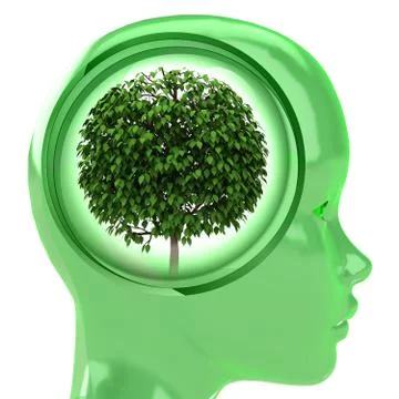 Green human head with brain cloud with leafy tree inside illustration Stock Illustration
